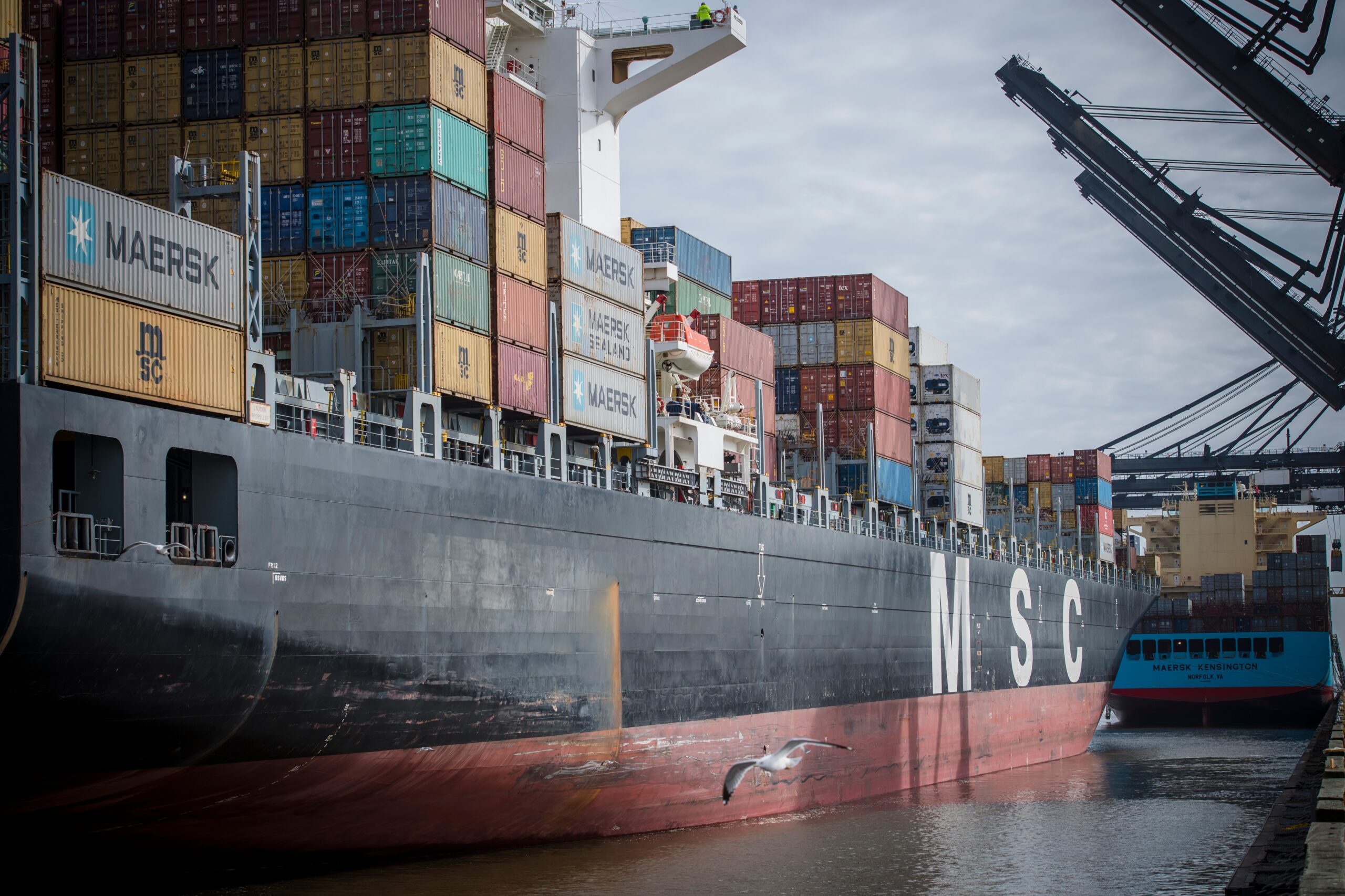 MSC Vittoria CKPro_4095_060 (1).jpg